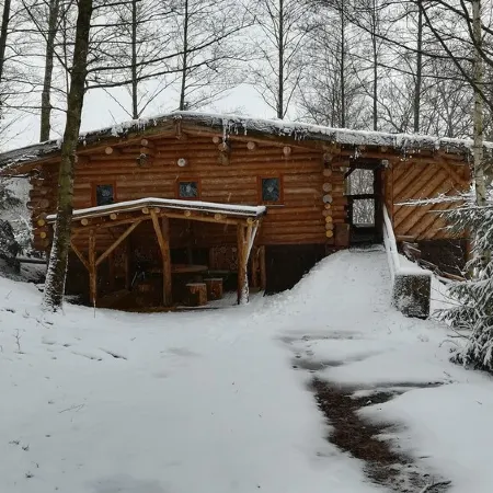 Unusual, secluded log cabin in the Vosges with luxury spa