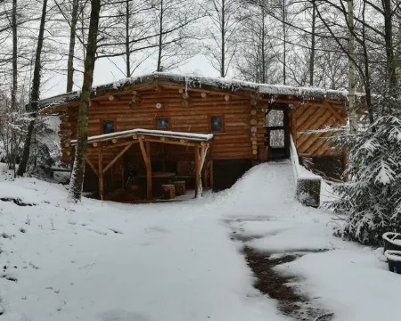 Unusual, secluded log cabin in the Vosges with luxury spa Hôtels à : Tendon