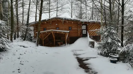 Unusual, secluded log cabin in the Vosges with luxury spa
