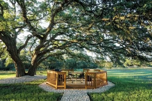 Hidden Eco-Luxe Earth Home Retreat in the Heart of Hill Country