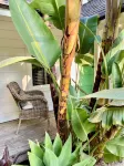 Relax in the heart of Montecito