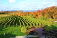 Lake Leelenau Waterfront Cottage-Close to Traverse City, Fishtown & Suttons Bay