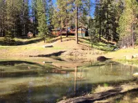 Shanks' lodge is the ultimate home in the woods for large groups.