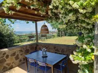 Beautiful and Cosy Countryhouse Overlooking Orvieto