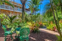 Special Free Night-Panoramic Ocean Views! Great Location-Remodeled & Privacy!! Hotels near Hawaiʻi Volcanoes National Park