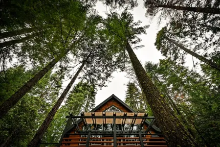 Cozy Creekside Cabin Just 9 Miles to Lassen. Snowshoes, EV Charging.