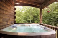 Shenandoah Log Cabin *Hot Tub Indoor Fireplace*