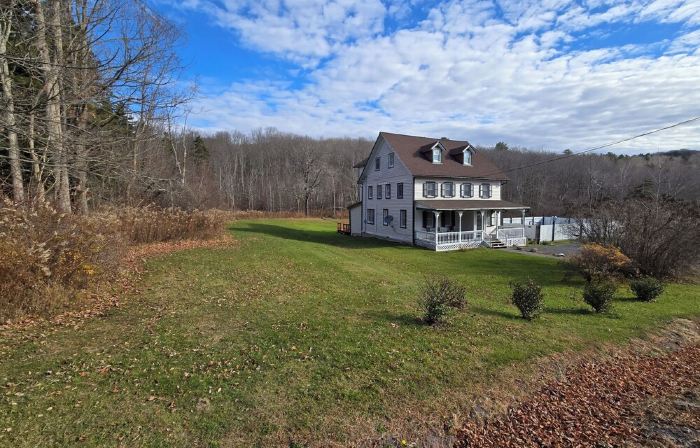 Abigail's Country House. 2 minutes To Skiing. Swimming, Hiking very close by.