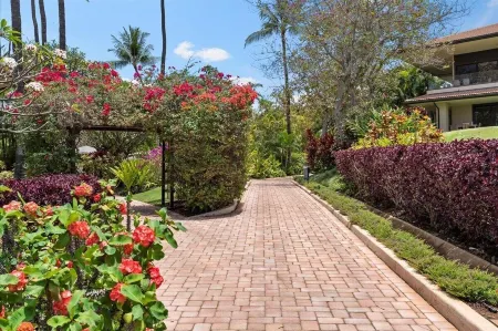 Amazing Oceanfront Platinum Condo; Gorgeous Views.  Whales.  Step in Snorkeling. Отели рядом с достопримечательностью «Онелоа Бич»