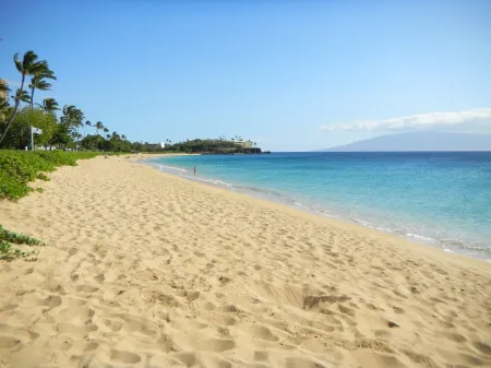 Exquisite Condo with an Awesome Ocean View Emerald 289