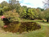 Buffalo Hollow Preserve & Cabin in the Blue Ridge MountainsPet Friendly - 3 tähden