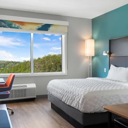 Tru by Hilton Cartersville