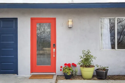 Joshua Tree Desert Duo - B