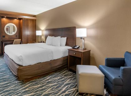 Comfort Inn & Suites Newark - Wilmington