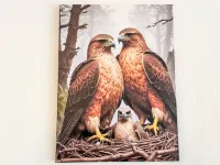 Habichtnest Hotels in Bertsdorf-Hörnitz