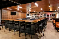 Graduate by Hilton Tempe - bar