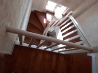 Villa " Les fougères " Bois de Cise Hotels in Ault