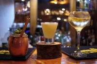 Hotel Termas Puyehue Wellness & Spa Resort - Bares
