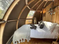 Moonlight Tent Hotel a Carew