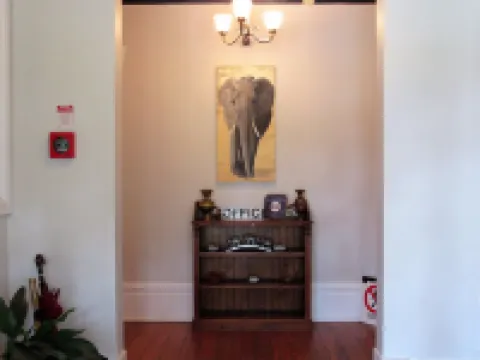 White Elephant Accommodation Hotels in Motueka