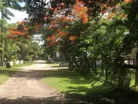 Belize Budget Suites