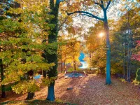 Spacious Haven with Fire Pit and Scenic Yard - Charming Retreat Hotels in Southington
