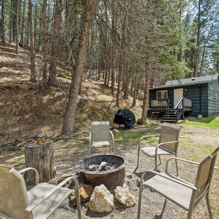 The Miner's Cabin