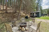The Miner's Cabin