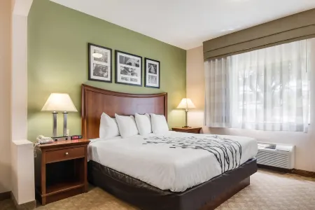 Sleep Inn & Suites Отели в г. Боннеовилл