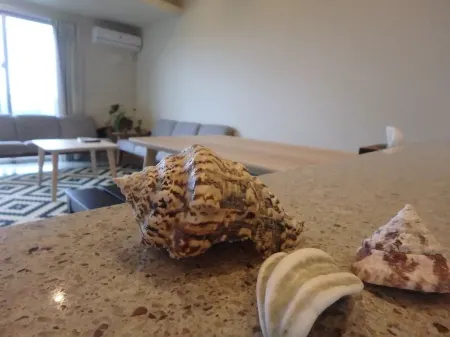 Longvacation Okinawa 301 Отели рядом с достопримечательностью «Рюкю- Силла»