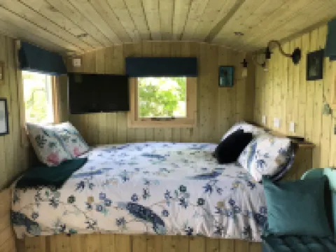 The Peacock Shepherds Hut at Hafoty Boeth Hotels in Corwen
