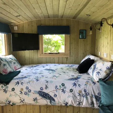The Peacock Shepherds Hut at Hafoty Boeth