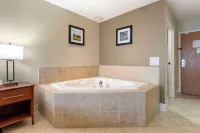 Comfort Inn & Suites Black River Falls I-94 - Hot Tub
