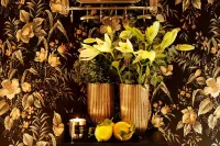 Chase Apartments Boutiquehotel Style I -  Ferienwohnungen