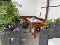 بنزيون نيون