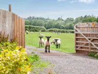 2-Bed Cottage Sleeps 4 with Hot Tub - parking