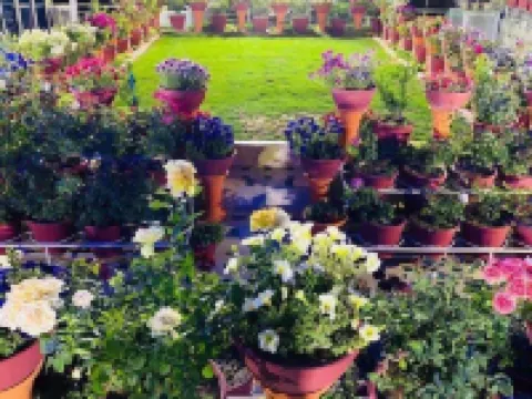 Al Qasim Hotel Hotels in Quetta