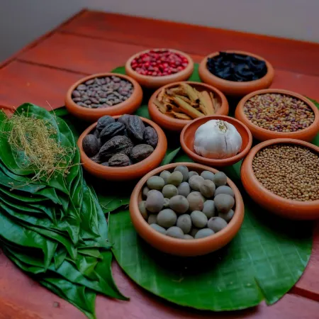 Celestia Ayurveda Resort