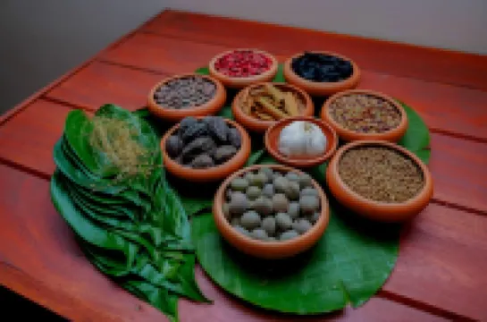 Celestia Ayurveda Resort