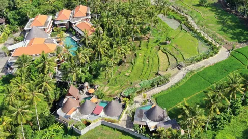 Green Field Resort Ubud