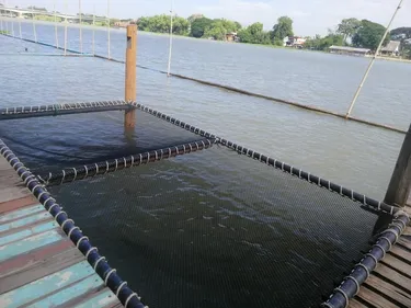 รูปภาพของลมโชย โฮมสเตย์ อยุธยา - โฮสเทล