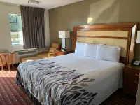 Peach Tree Inn Hotels in Saint George