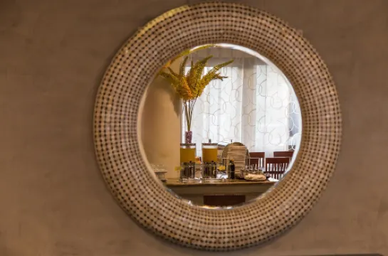 تيوليب إن بادوفا Photos