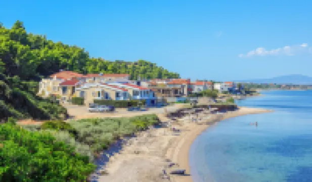 埃爾比尼基奢華出租公寓