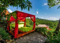 Tropical Paradise View Hotels in Anse La Raye