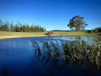 Grapevines Boutique Accommodation Hotel a Pokolbin