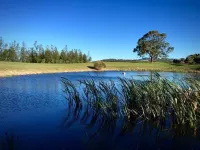 Grapevines Boutique Accommodation Hotels in Pokolbin