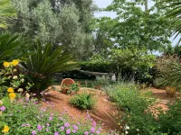 B&B All'Ombra Degli Ulivi