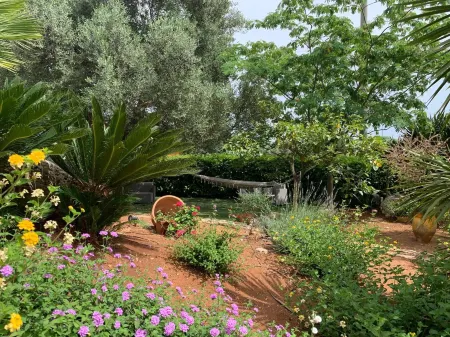 B&B All'Ombra Degli Ulivi Отели в г. Остуни