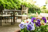 Oak Hill Bed & Breakfast Hotels in Ashland